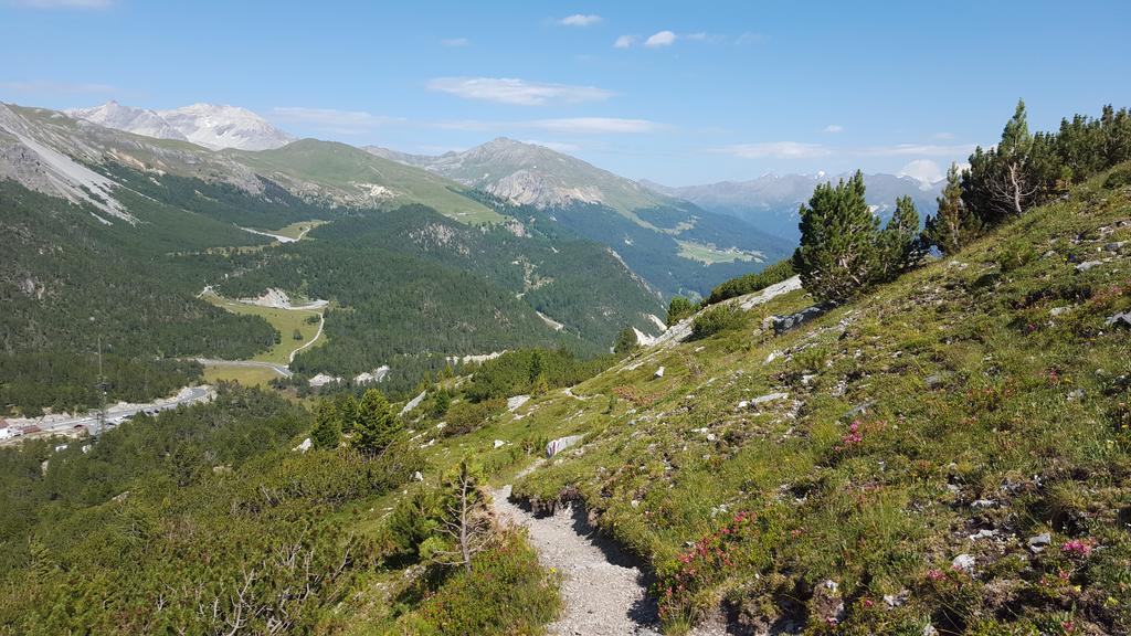 Hotel Landgasthof Staila Fuldera Екстериор снимка